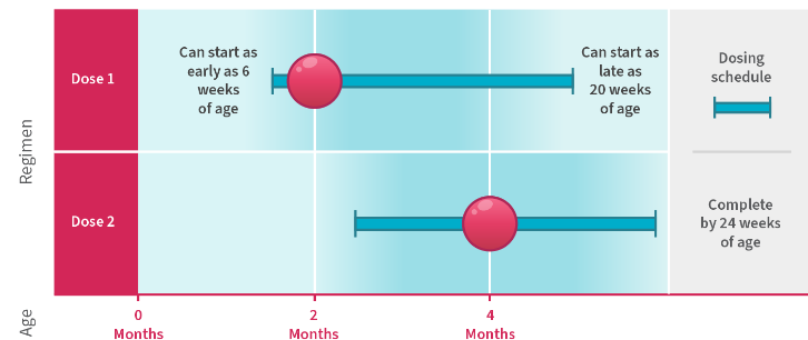 ROTARIX dosing schedule infographic